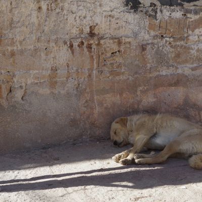p_tibet08