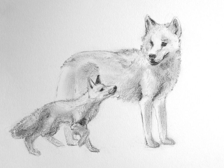 foxandwolf1
