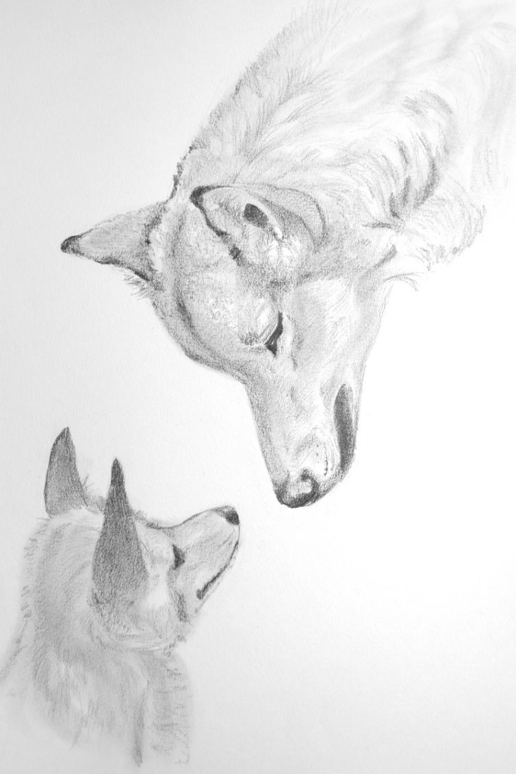 foxandwolf3