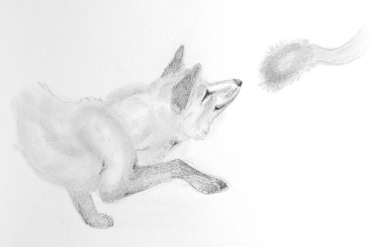 foxandwolf6