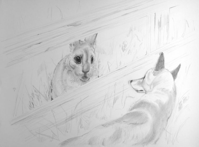 foxandwolf7
