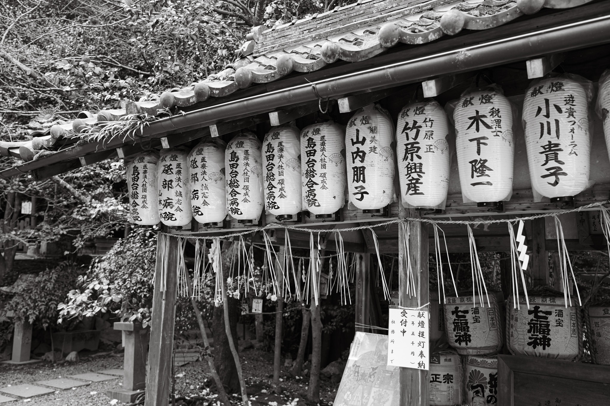 DSC01303